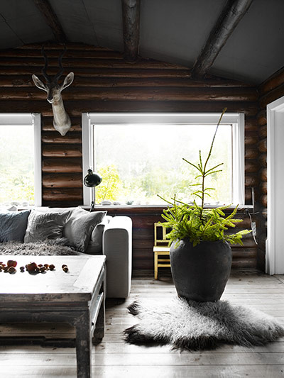 Living room in Nordic style with sofa and large potted plant