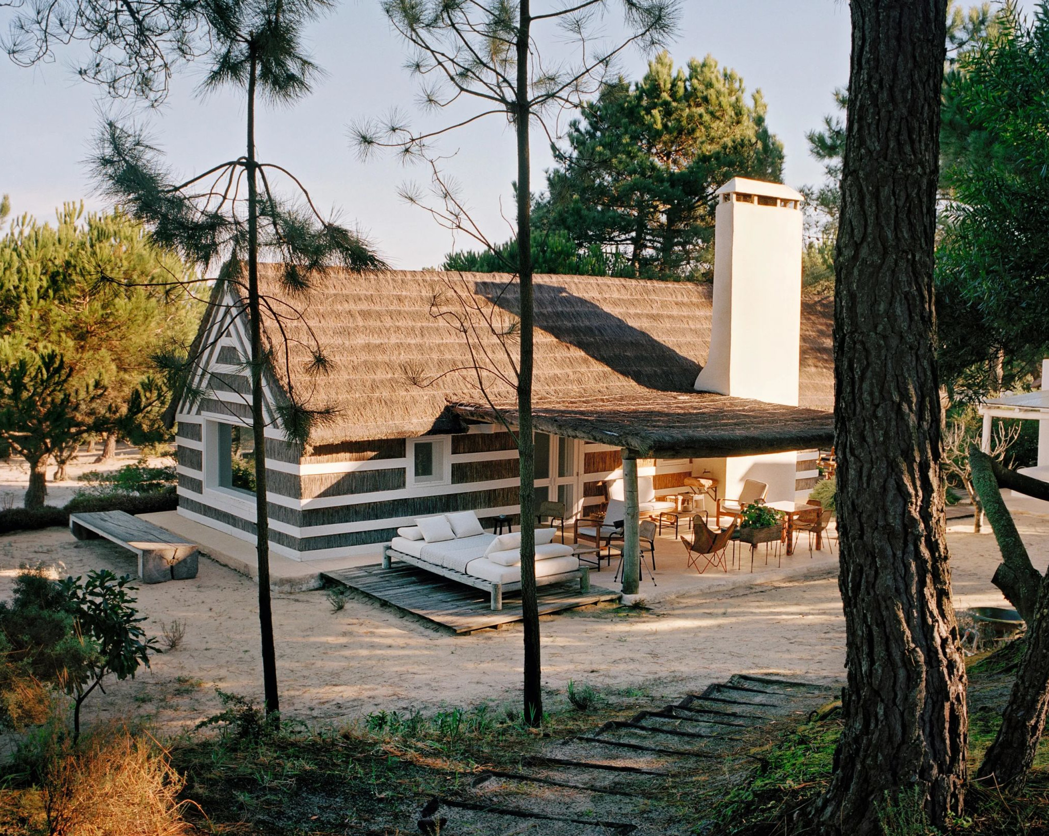 sd-7