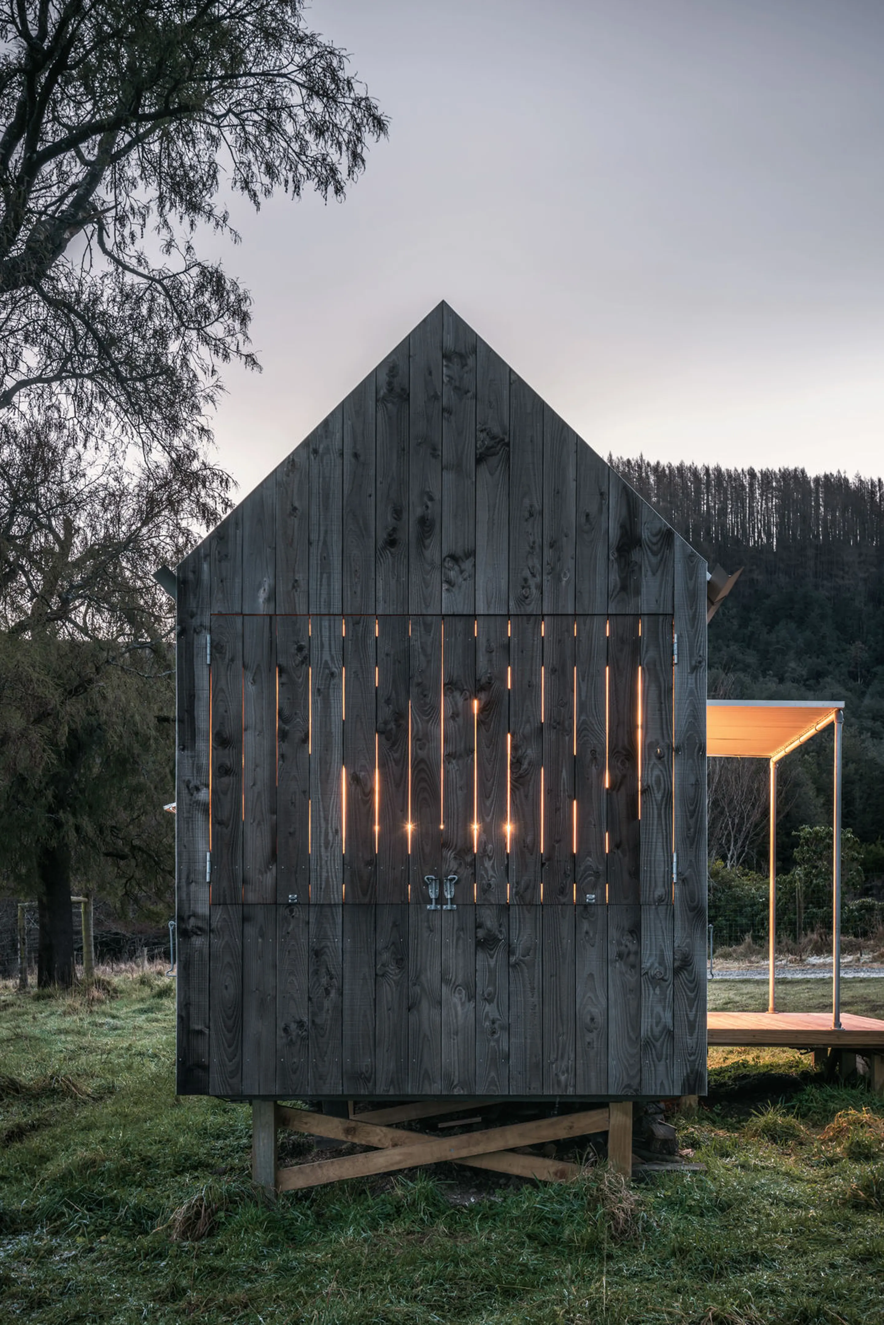 NZ2