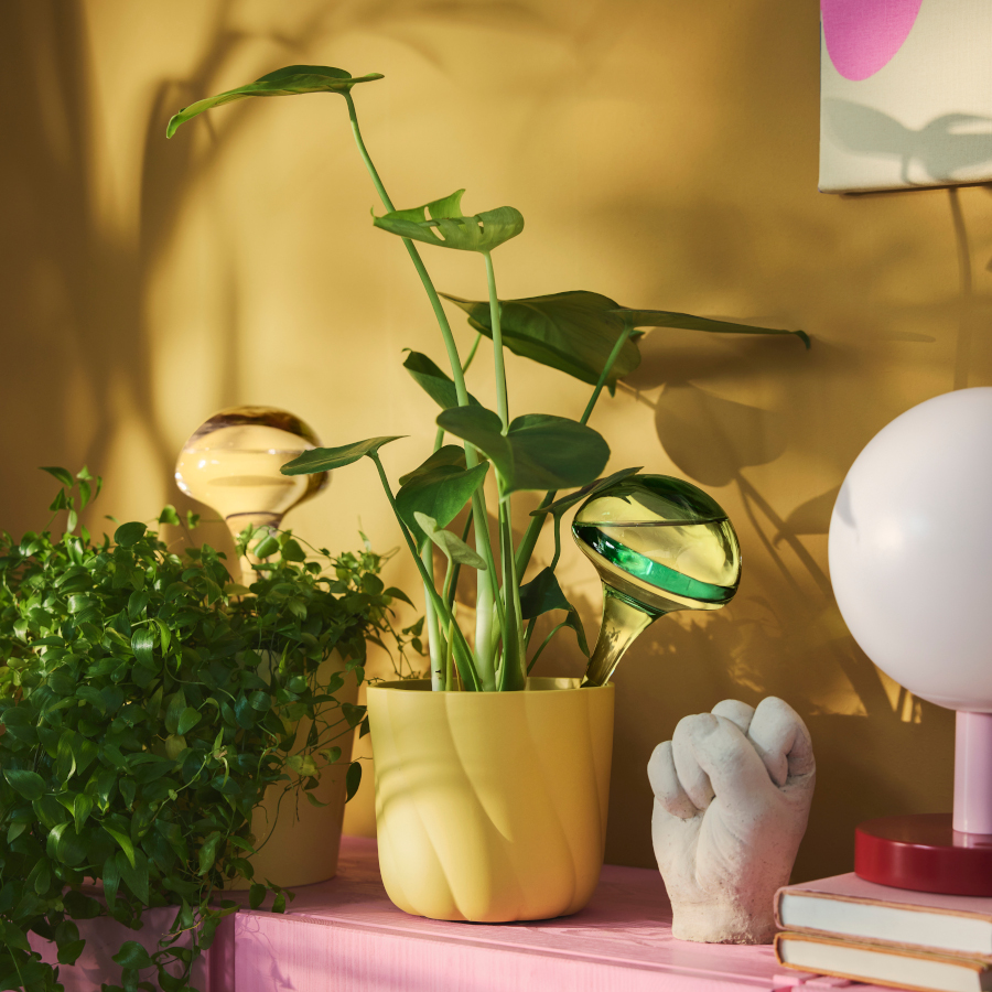 DOFTRIPS self watering CPP